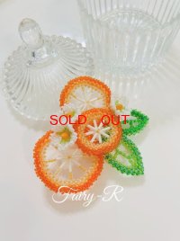  OT-170 オレンジローチ